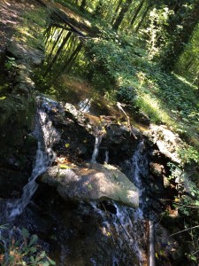 Jogging in Bois de Boulogne